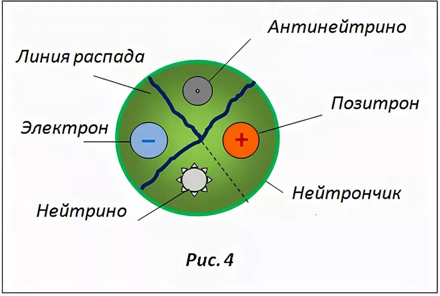 Протон Позитрон нейтрон электрон. Распад нейтрона. Нейтрино и антинейтрино. Электронное нейтрино.