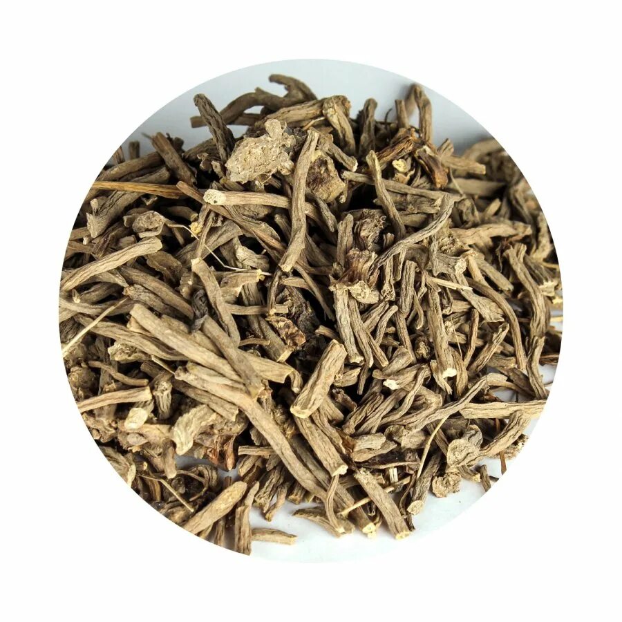 Valeriana officinalis корень. Валерианы лекарственной корневища с корнями. Корень валерианы. Корневище валерианы лекарственной. Валериана лекарственная корневища с корнями.