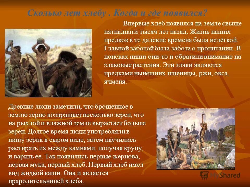 когда появился хлеб. появился хлеб. когда появился хлеб. как появился хлеб. хлеб на нашем столе.
