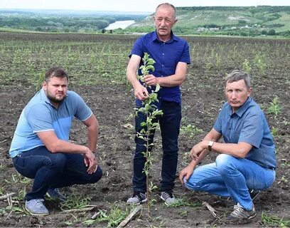 Агроном воронеж