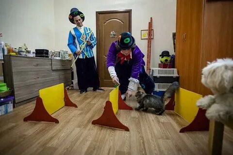 В гости театр