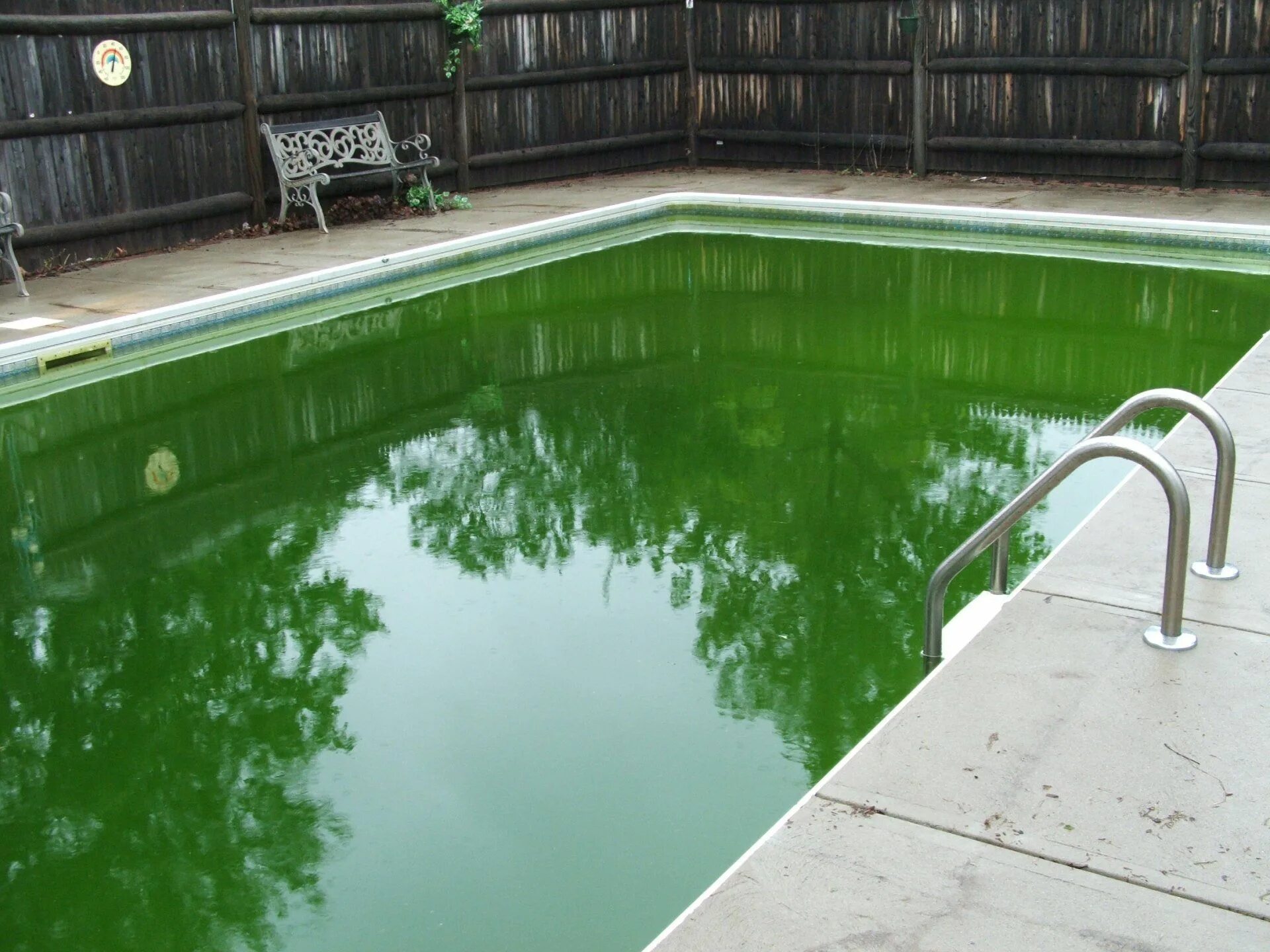 Бассейн водоросли. Зеленый бассейн. Зеленая вода в бассейне. Водоросли в бассейне. Бассейн зацвел.