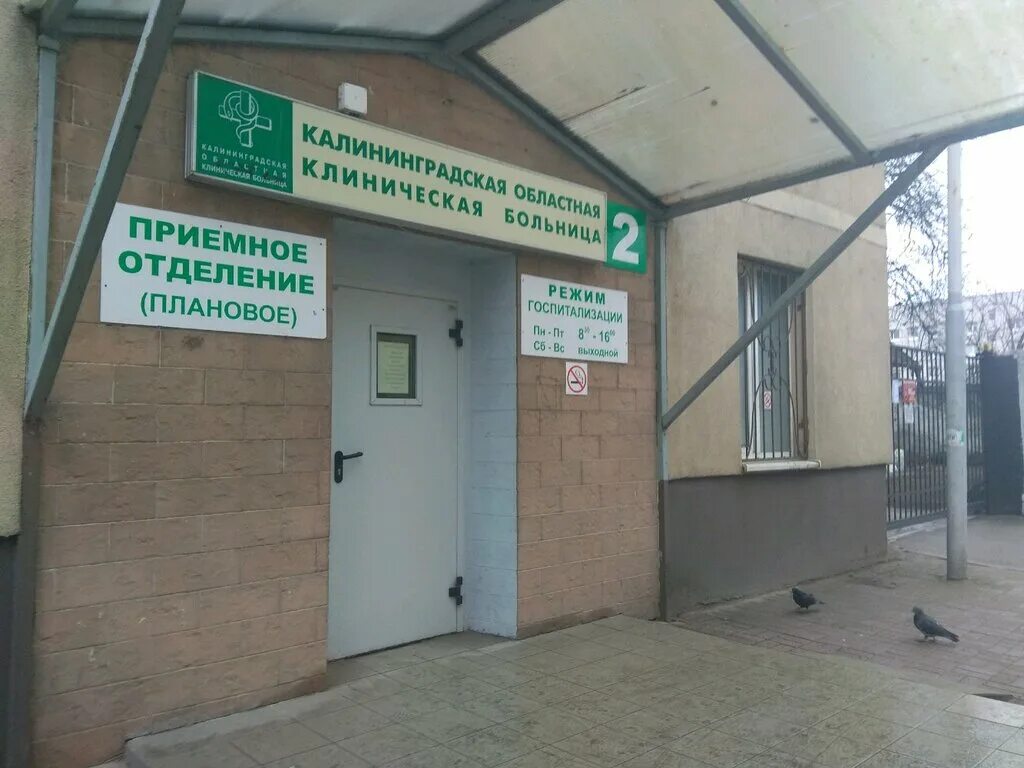 Приемное отделение 1 городской телефон. Областная клиническая больница Калининград. Клиническая 74 больница Калининград. Городская клиническая больница Калининград ул летняя. Летняя 3 больница Калининград.