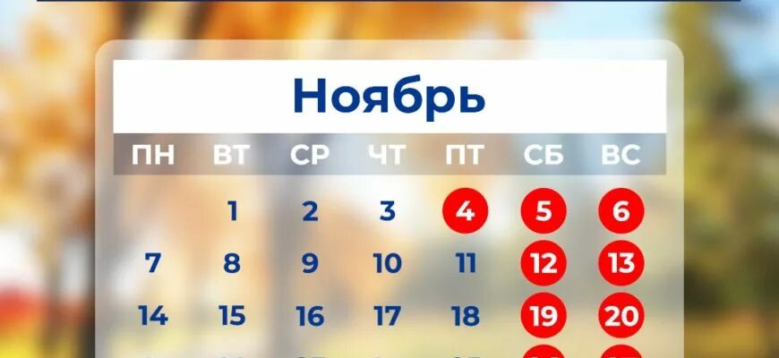 4 5 6 Ноября выходные. Выходные в ноябре. Как отдыхаем в ноябре. Праздничные нерабочие дни в ноябре.