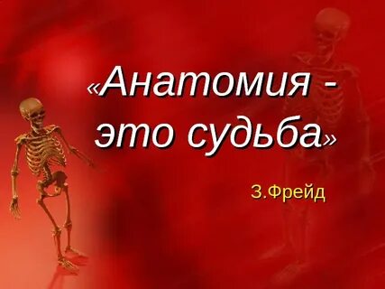 Анатом это