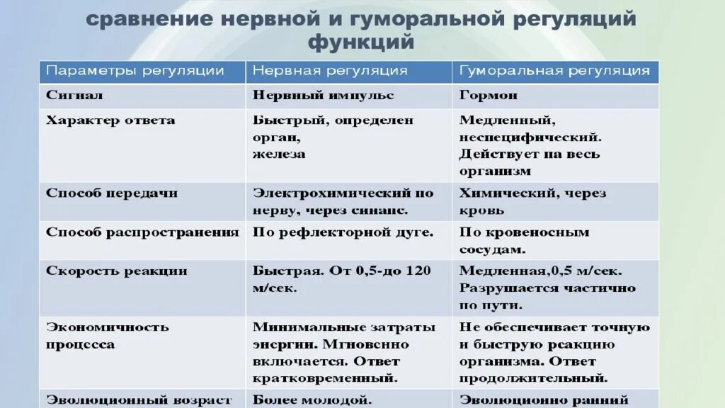 Сравнение нервной и гуморальной. Сравнение нервной и гуморальной регуляции таблица 8. Сравнение нервной и гуморальной регуляции. Гуморальная регуляция функций. Взаимодействие нервной и гуморальной регуляции.