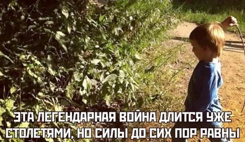 Бить крапивой