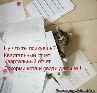 Конец отчета