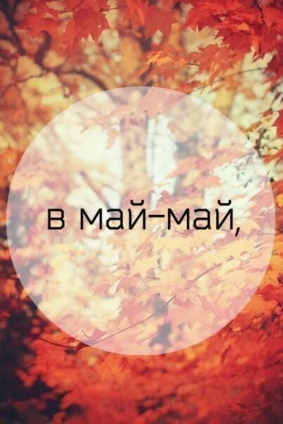 Май май 30 минут. Мой май. Мой май картинки. Май май май. Жду мая.