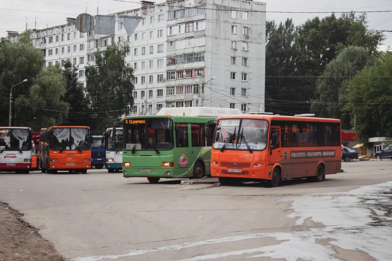 Автобус т55 Нижний Новгород. Нижегородский автобус. Автобусы и маршрутки Нижний Новгород. 51 Автобус Нижний Новгород. 16 маршрутка нижний новгород