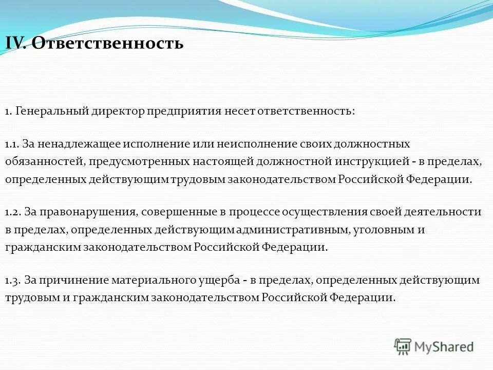 Исполняющий обязанности ответственность. Ответственность генерального директора. Обязанности генерального директора. Генеральная ответственность. Обязанности ген директора.