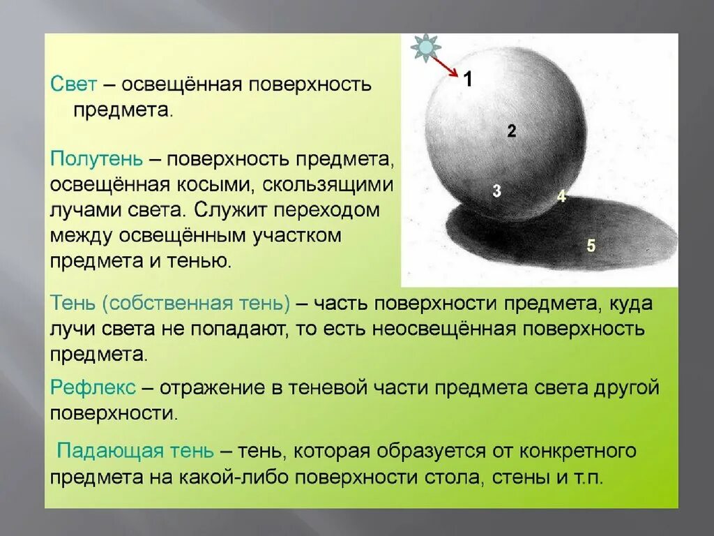 Образуют видимой формой. Рефлекс в рисовании. Тень и полутень в изобразительном искусстве. Свет полутон Собственная тень. Собственная тень от предмета.