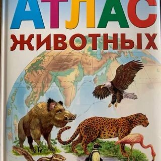 Атлас животных