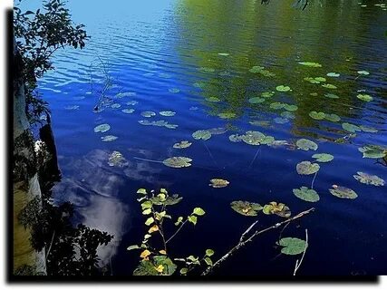 Твоя водица