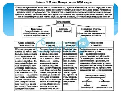 Класс птица 7 класс конспект