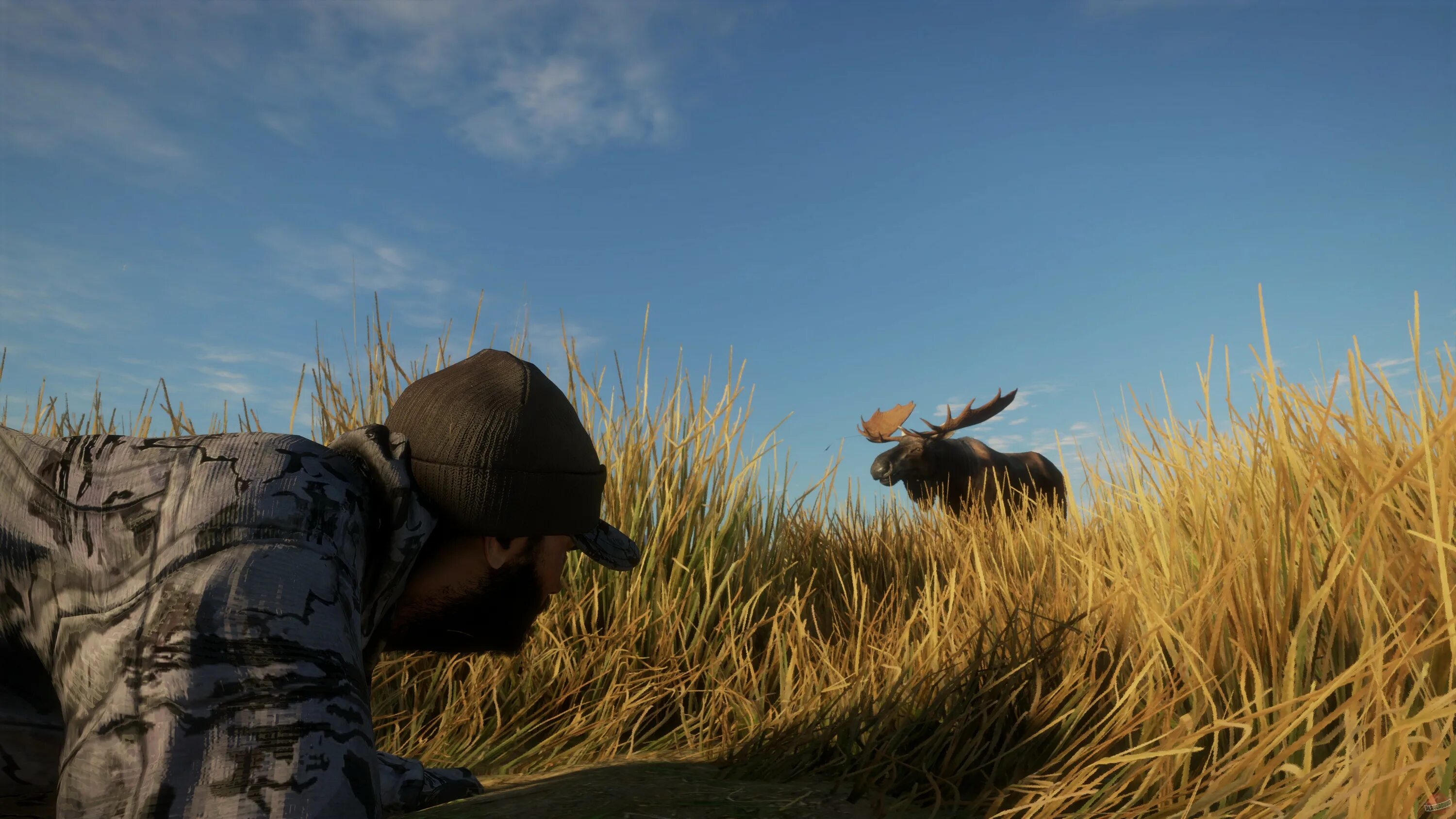 The hunt call. Thehunter: call of the wild. the hunter call of the wild крокодилы. реми уоррен охотник. hunt call of the wild.