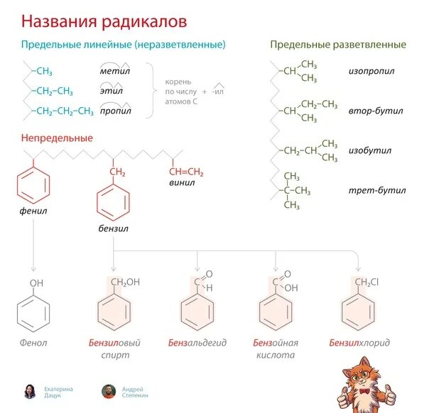 Углеводородный радикал это в химии. Фенолы и их названия Степенин. Углеводородный радикал пример. Цепочки фенолы Степенин.