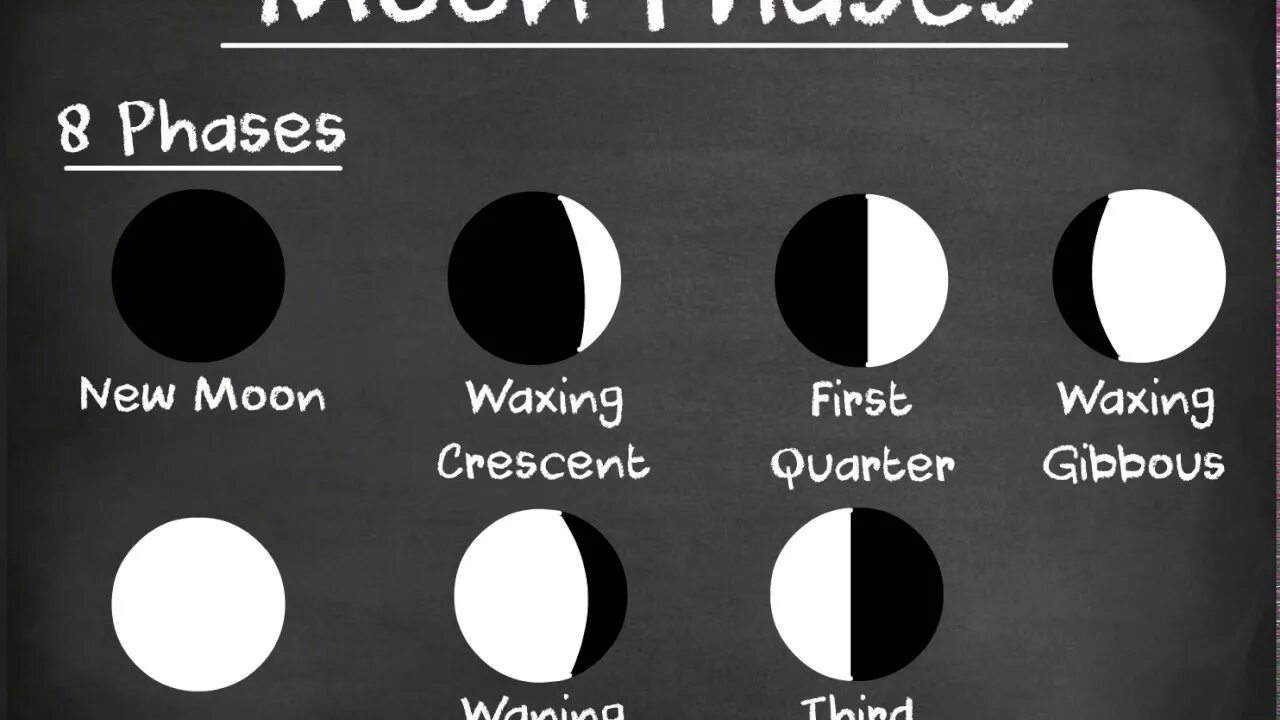 Предложение moon. Moon phases. Phases of the Moon майка. Moon phases by weeks. Phases of Moon scheme.