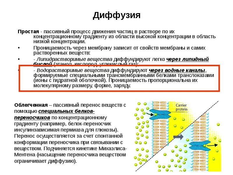 1 пример диффузии. Простая и облегченная диффузия. Перенос веществ через мембрану по градиенту концентрации это. Мембранный транспорт веществ облегченная диффузия. Простая диффузия это физиология.