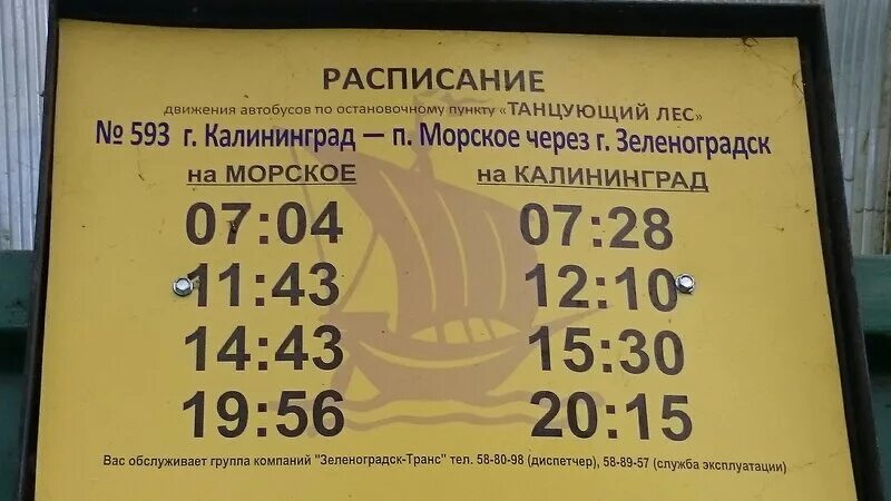 140 Автобус Зеленоградск. Расписание автобусов Зеленоградск Калининград. Зеленоградск-Калининград расписание. Автобус Зеленоградск Калининград.