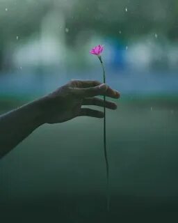 Silent rain