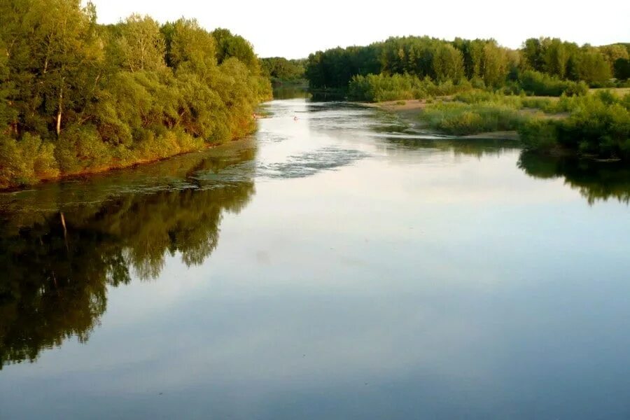 Реки оренбуржья. Река Урал в Оренбургской области. Пойма реки Урал. Река Урал Нежинка. Река Урал фото в Оренбургской области.