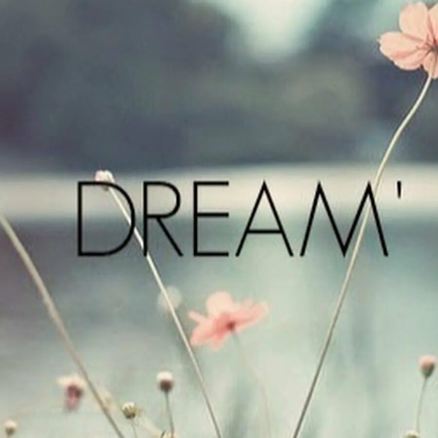 Ur dream. Ur dream. Dream on картинки. Ur dream. Follow ur dreams.