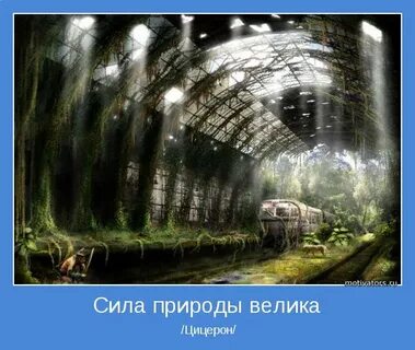 Включи сила природы