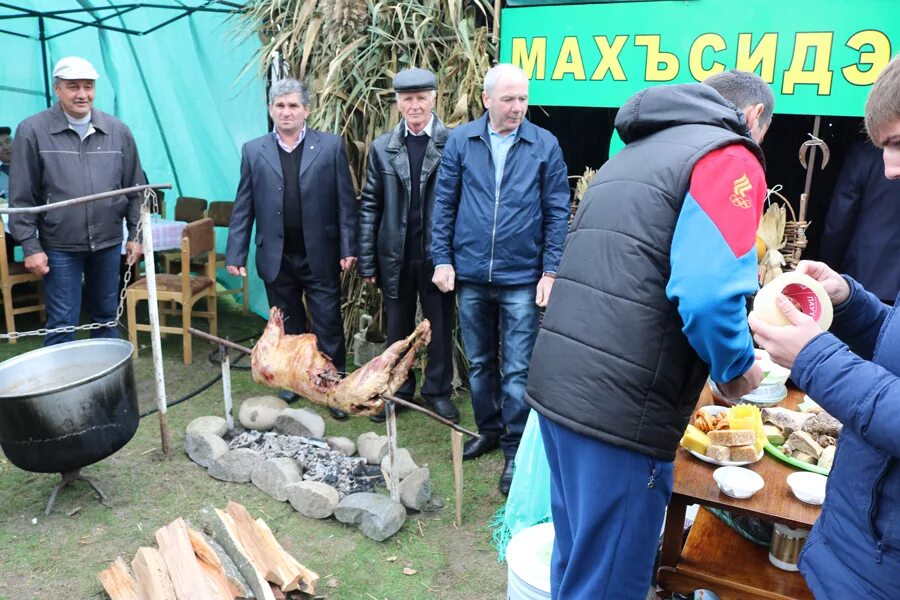 Погода в плодовитом. Село Урожайное КБР. Урожайное КБР Терский район. Село Хамидие КБР. Кабардино-Балкарская Республика ,Терский район,село Дейское.