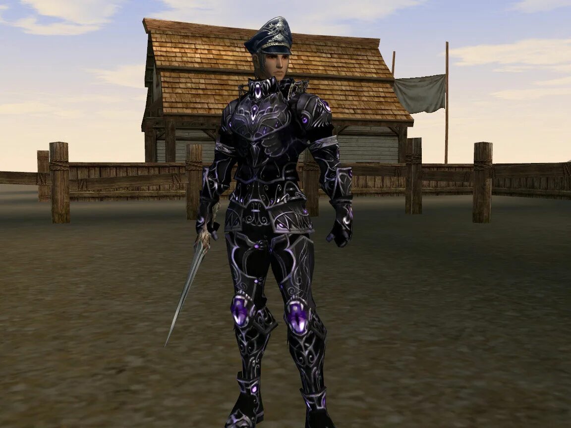 Cursed armor ii. Cursed armor rus. lineage 2 eternal armor. cursed armor 2. доспехи lineage 2.
