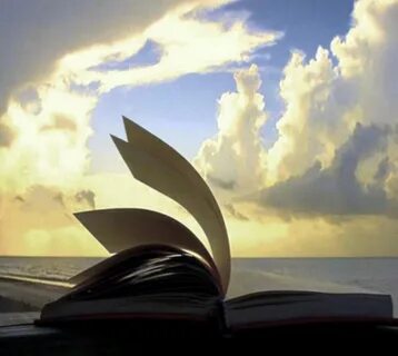 Мысли души книга