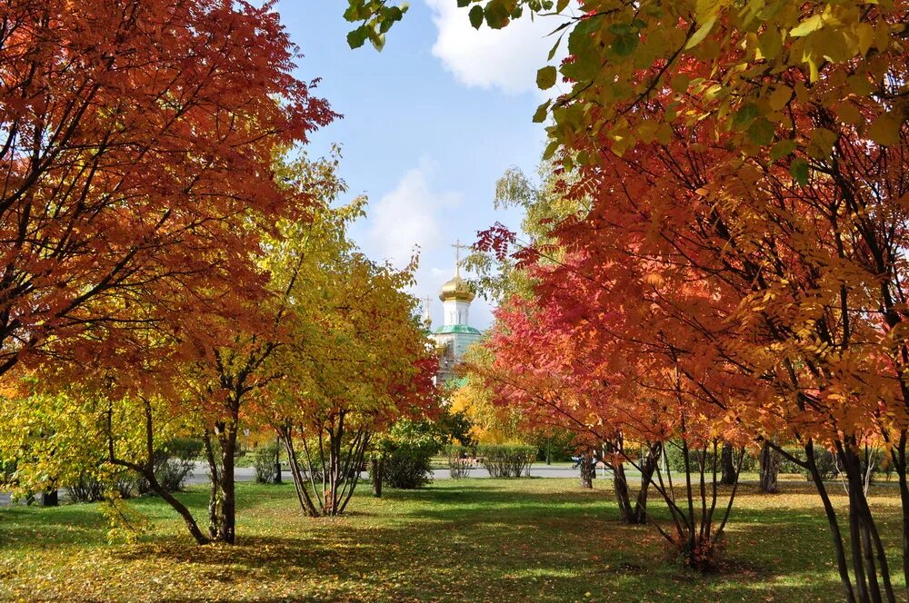 осень 2000 год. сентябрь фото. осень в огайо. осень jpg. оранжевый парк.