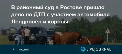 Заходите раз пришли ростов на дону