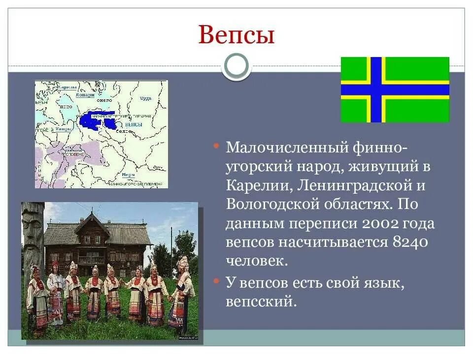 Как назывались финно угорские племена. Вепсы. Вепсы народ. Вепсы численность населения. Вепсы народ России.