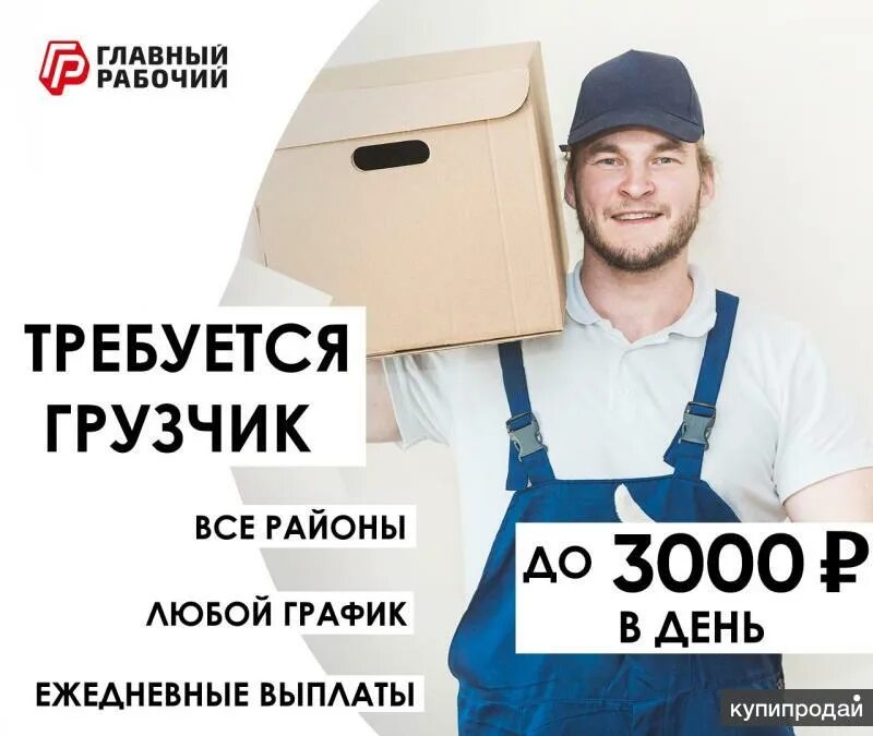 Работа вакансия ежедневной оплатой грузчиком