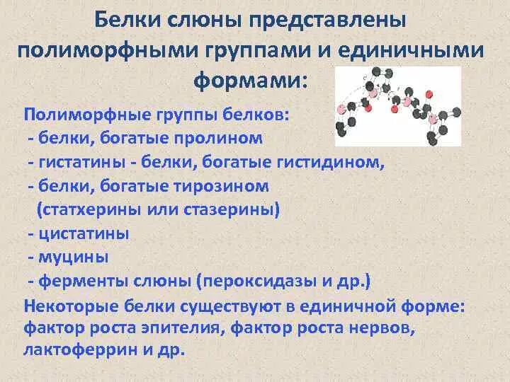 Белки группа соединения. Белки смешанной слюны биохимия. Примеры полиморфных белков. Белки и ферменты ротовой жидкости биохимия. Классификация ферментов слюны.