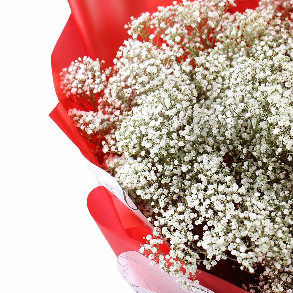 Можно ли дарить гипсофилы. Гипсофила кармин. гипсофила красная кармин. красные гипсофилы букеты. гипсофила золотая.