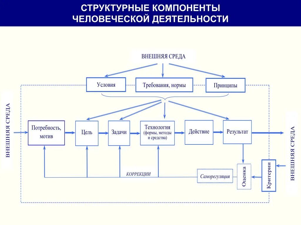 Назовите элементы деятельности. Структурные компоненты деятельности и их функции. Деятельность структура компоненты деятельности. Схема виды, структура. Элементы деятельности. Структурные компоненты человеческой деятельности.