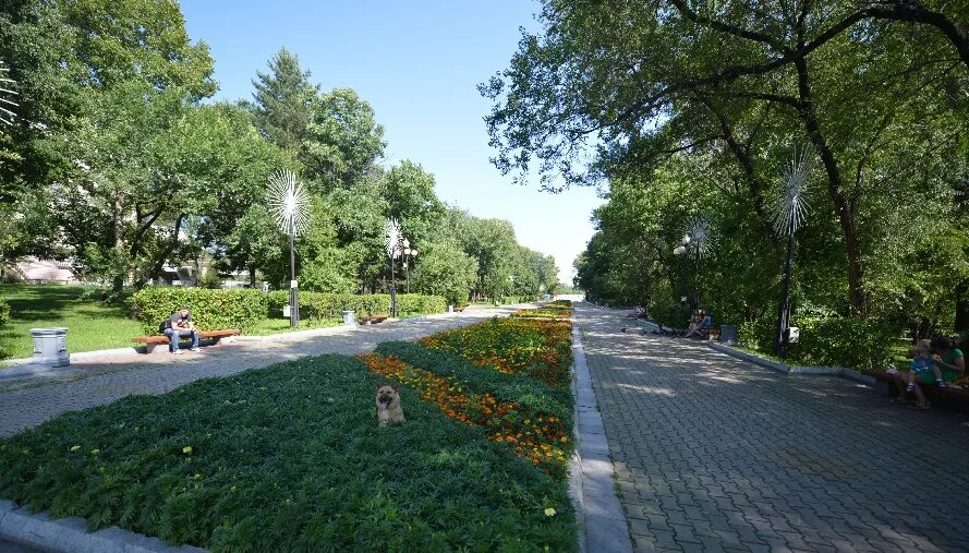 Ландшафт хабаровского парка. Сквер хабаровск. Муравьева-амурского. Сквер хабаровск. Хабаровск парк.