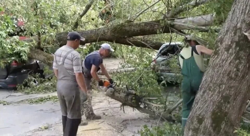 Ураган в мурте. Ураган фото. ветер повалил деревья.
