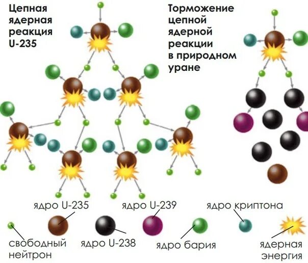 Количество энергии в уране. Распад урана 235. Схема цепной ядерной реакции урана. Схема распада урана 235. Энергия деления урана 235.