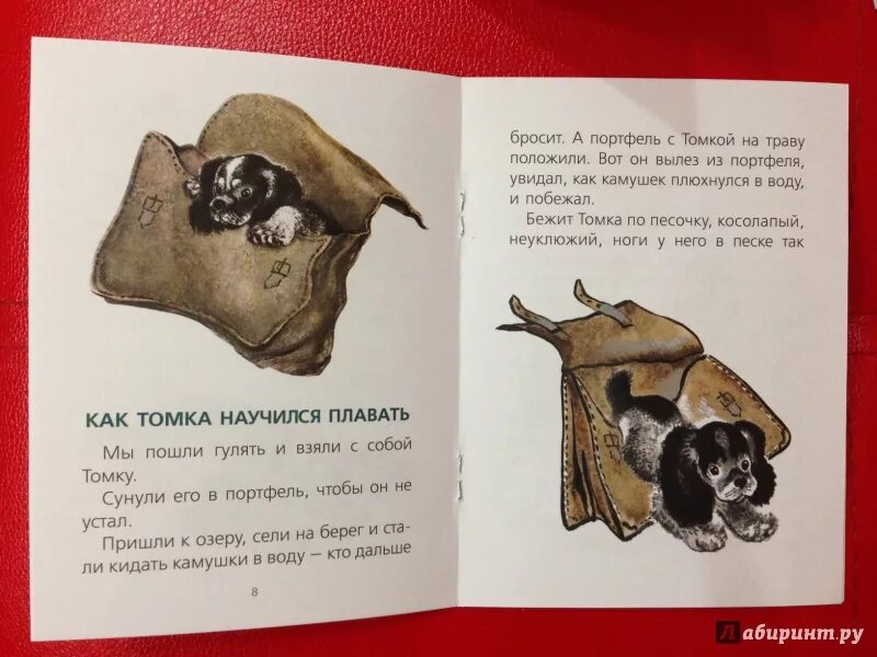 Как томка научился. Е чарушин как томка научился плавать. как томка научился плавать чарушин. е чарушин про томку.