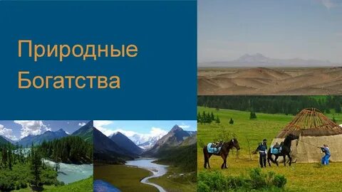 Природные богатства алтайского