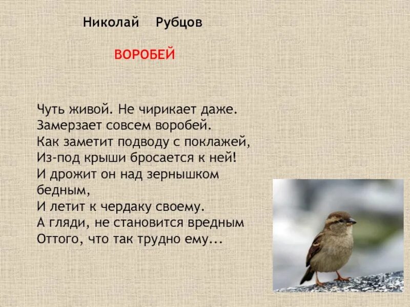 Стихотворение Воробей рубцов. Стих н Рубцова Воробей. Стихотворение Николая Рубцова Воробей.