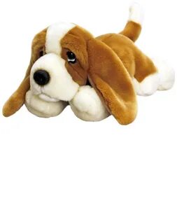Dog details