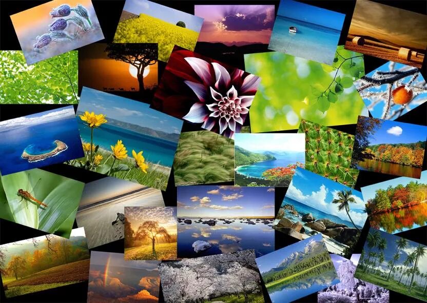 коллаж пейзаж. коллаж природы. коллаж пейзаж. природа россии коллаж. коллаж.