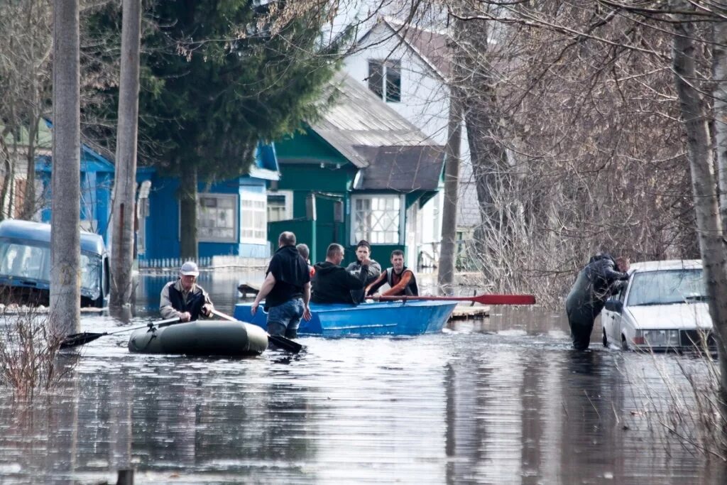 Половодье Сураж Брянской области. Наводнение Брянск 2013. Половодье в Радице. Брянск паводок. Новости брянского приграничье