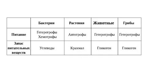 Сравнительная таблица растения грибы животные