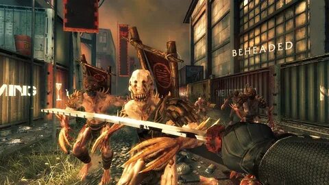 Shadow warrior