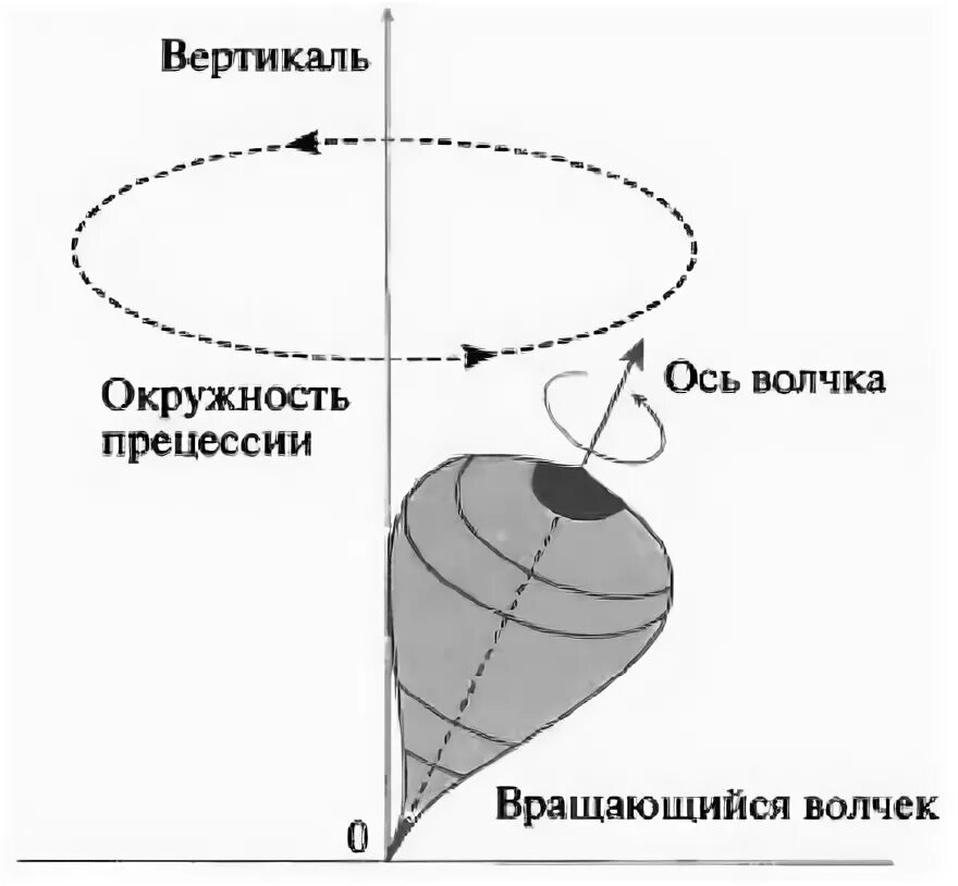Вращение волчка. Прецессия волчка. ось вращения волчка. волчок вращение. вращение волчка в физике.